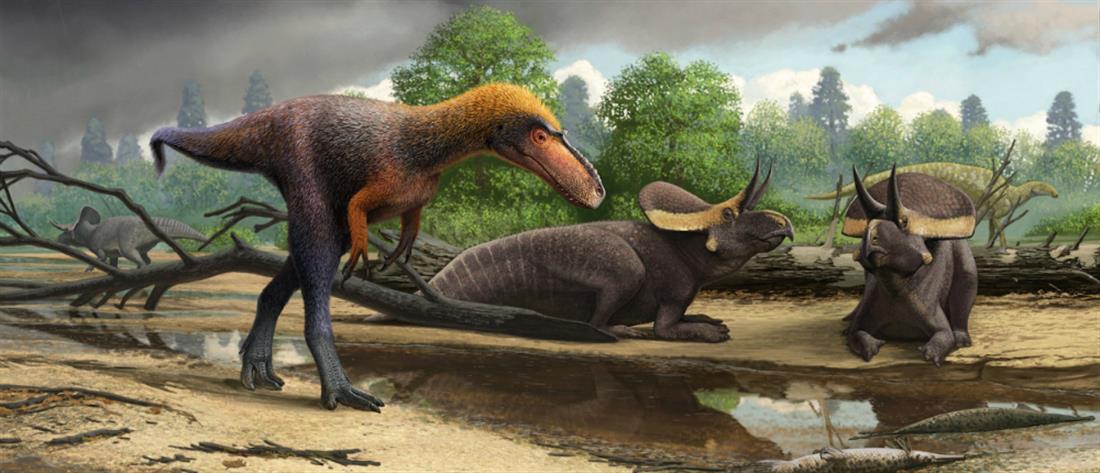 Σασκιτύραννος - Τυραννόσαυρος - Δεινόσαυρος
