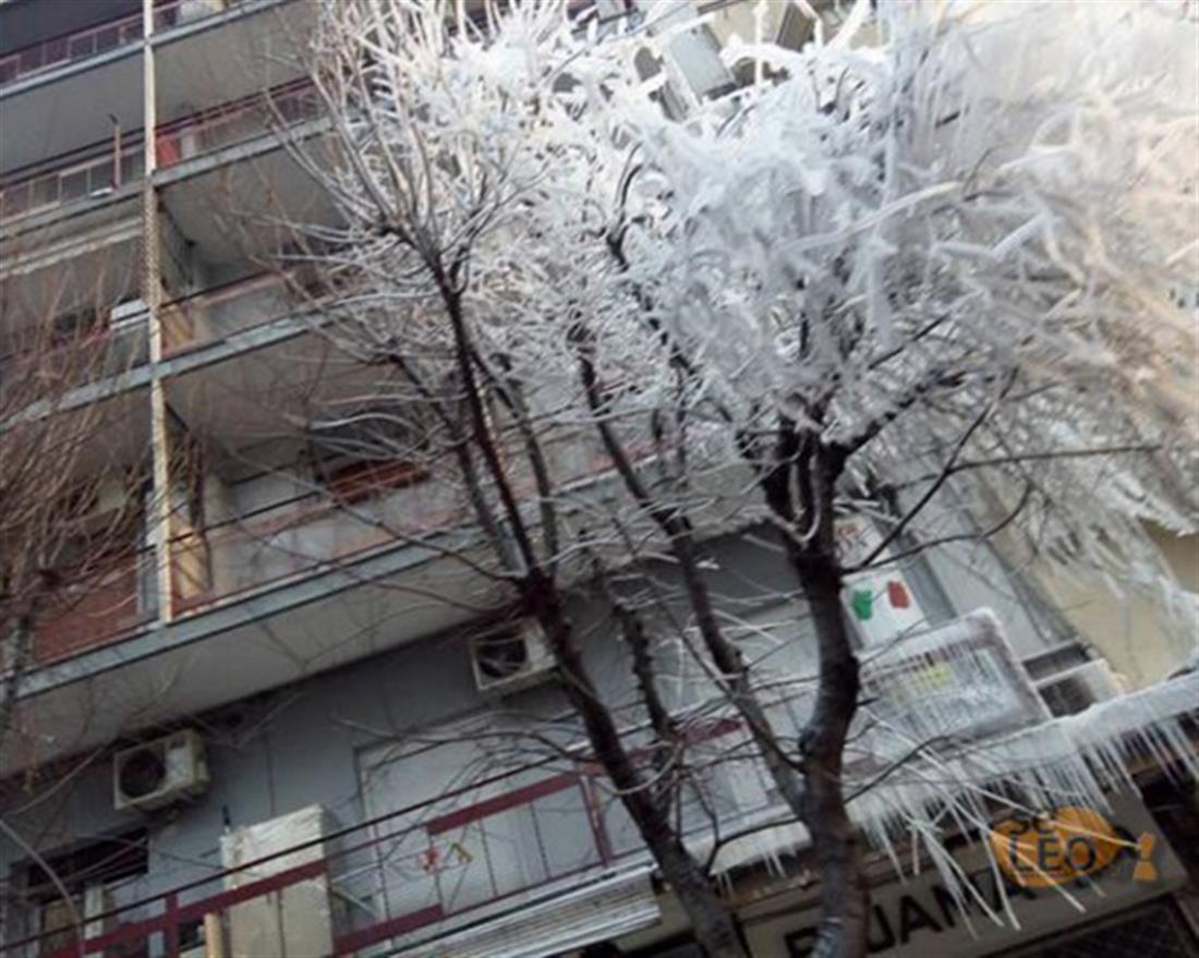 Εγνατία - Βαρδάρης - παγωμένο δέντρο - Θεσσαλονίκη