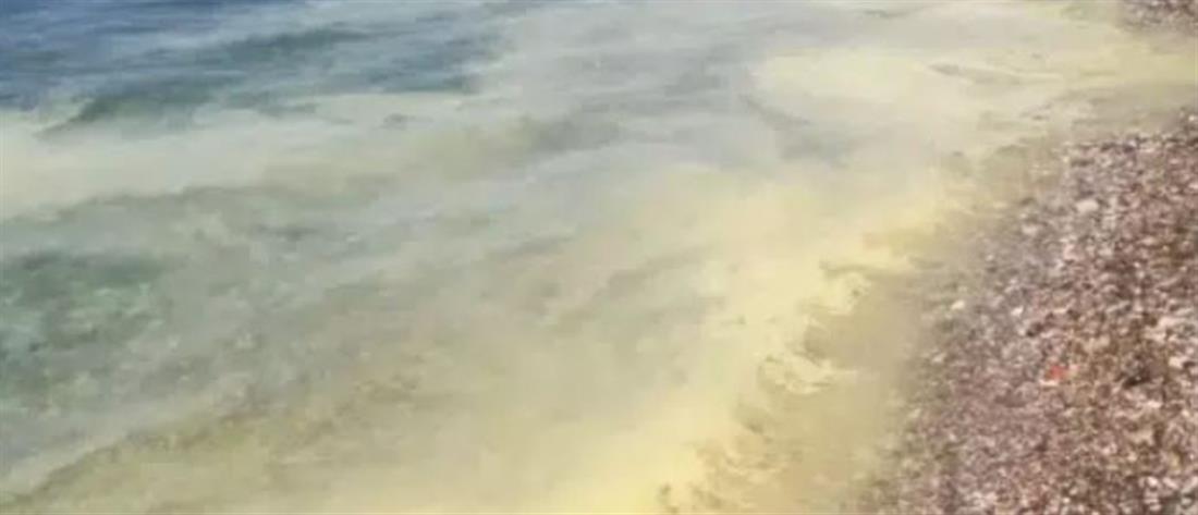 Κιτρίνισε η θάλασσα στην Πάτρα (βίντεο)