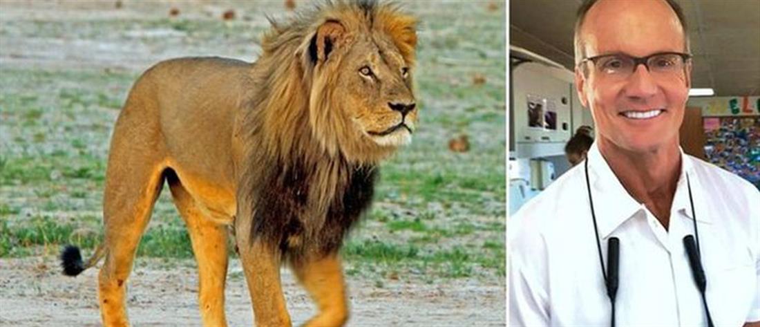 Λιοντάρι - Cecil -  Ζιμπάμπουε - κυνηγός - οδοντίατρος - Walter Palmer