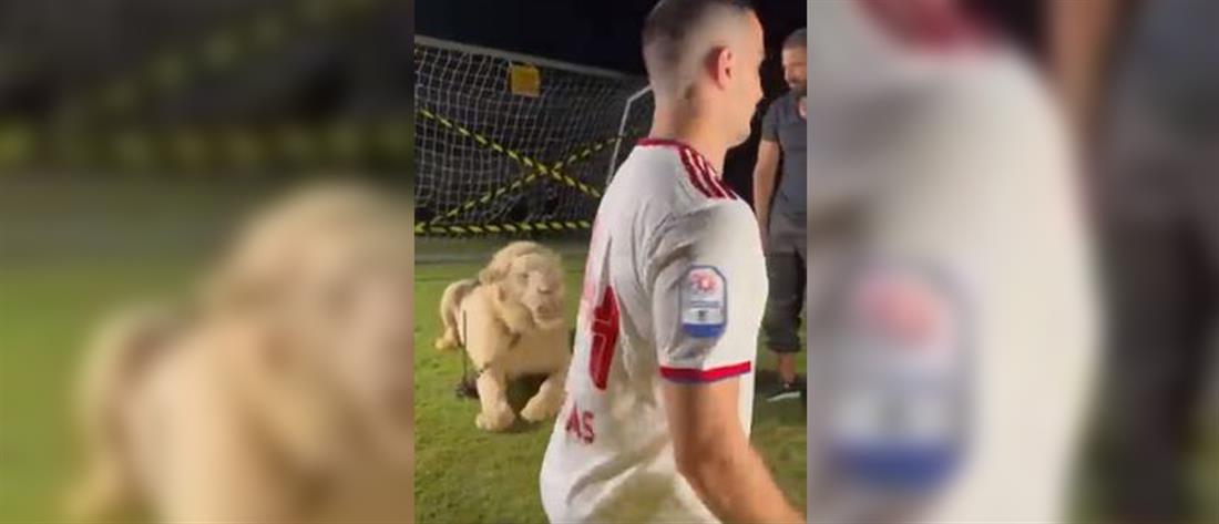 Κώστας Μανωλάς: Τρομοκρατήθηκε από λιοντάρι στην παρουσίαση του (βίντεο)