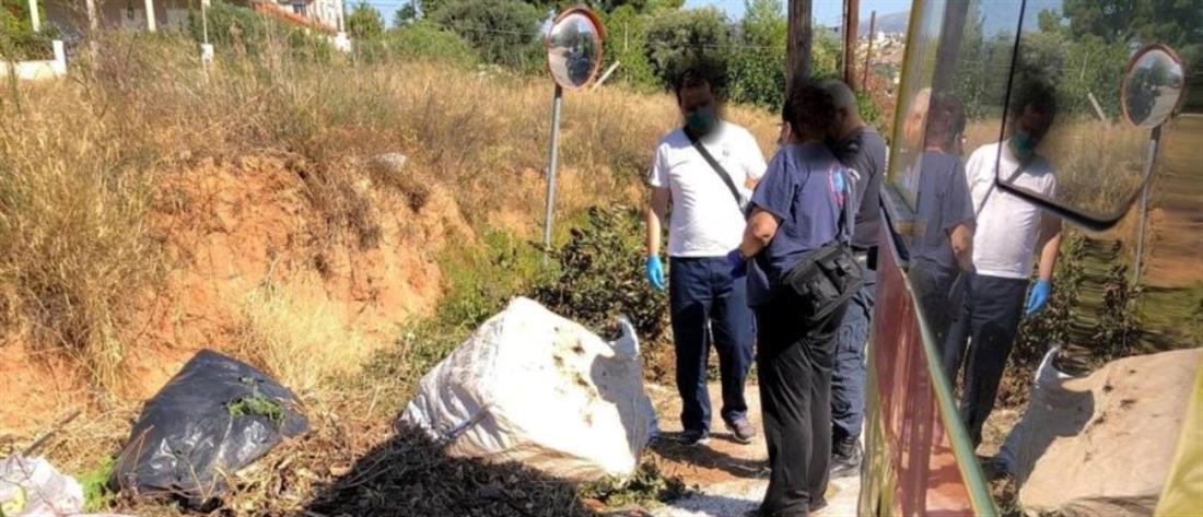 Λαγονήσι: γυναίκα βρέθηκε νεκρή δίπλα σε κάδους σκουπιδιών