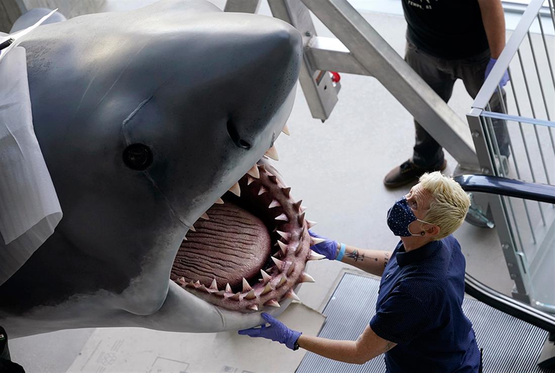 AP - Σαγόνια του Καρχαρία - Μουσείο των Όσκαρ - Λος Άντζελες