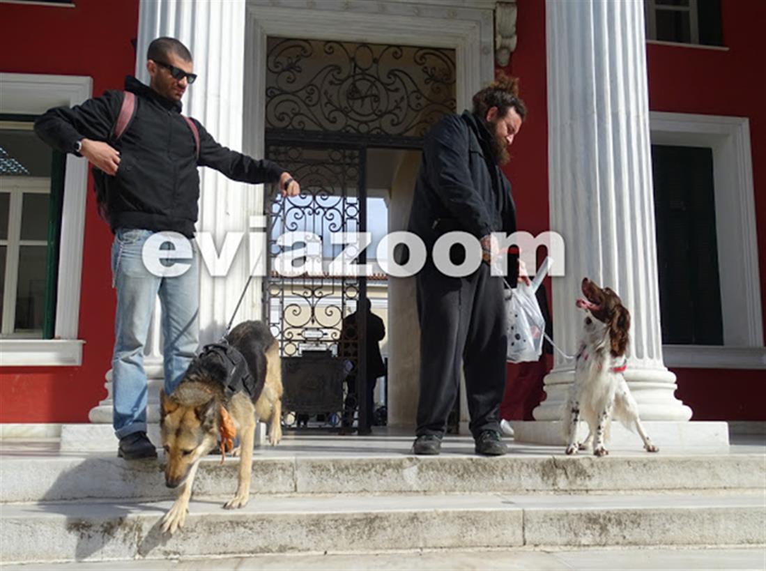 Εύβοια - πρόστιμο - ταβερνιάρης - σκυλίτσα Μάγκυ