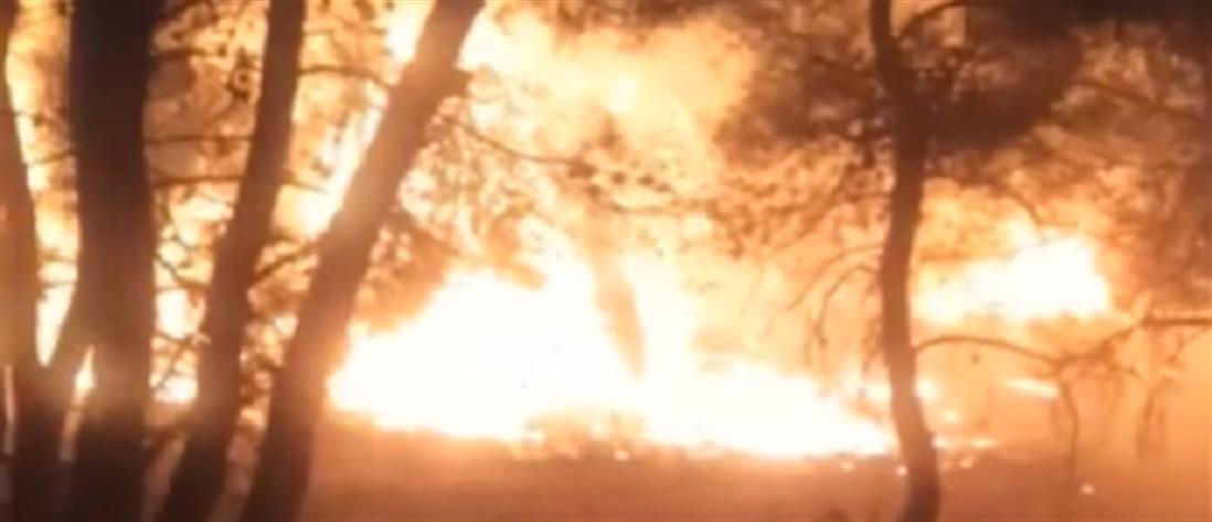 Φωτιά στη Νέα Μάκρη: ολονύχτια μάχη με τις φλόγες (εικόνες)