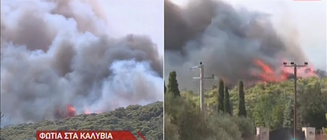 Φωτιά στα Καλύβια: εκκένωση οικισμού και διακοπή κυκλοφορίας (εικόνες) |  Κοινωνία | ANT1 News