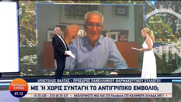 Απόστολος Μπαλτάς - πρόεδρος  Πανελλήνιου Φαρμακευτικού Συλλόγου - Καλημέρα Ελλάδα - 03/10/2023