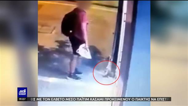 Κακοποίηση ζώων: μια προσαγωγή για το νεκρό γατάκι στην Θεσσαλονίκη
