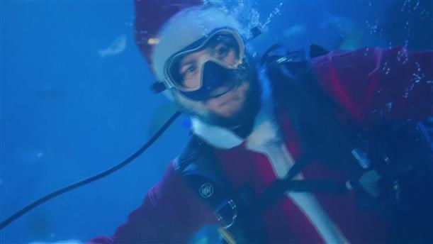 Sea Life: Ο Άγιος Βασίλης πήγε δώρα σε ψάρια και πιγκουίνους