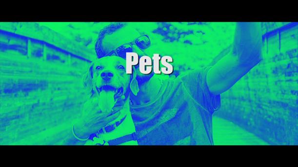 Upload: Pets