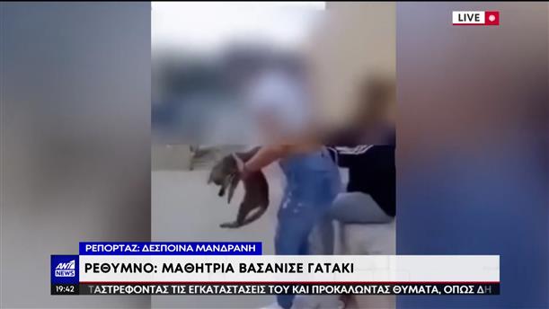 Κρήτη: Ανήλικη κλώτσησε γάτα και γελούσε με τις φίλες της 
