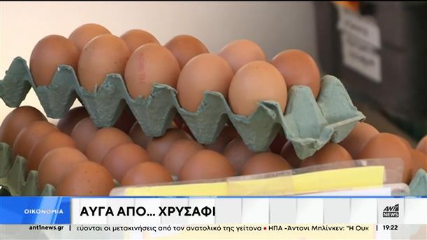 Ακρίβεια - Αυγά: Τέταρτη ακριβότερη χώρα στον κόσμο είναι η Ελλάδα