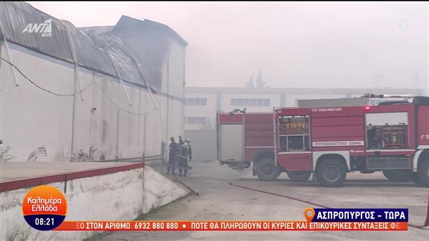 Ασπρόπυργος: Φωτιά σε εργοστάσιο στα Νεόκτιστα - Καλημέρα Ελλάδα - 25/01/2023
