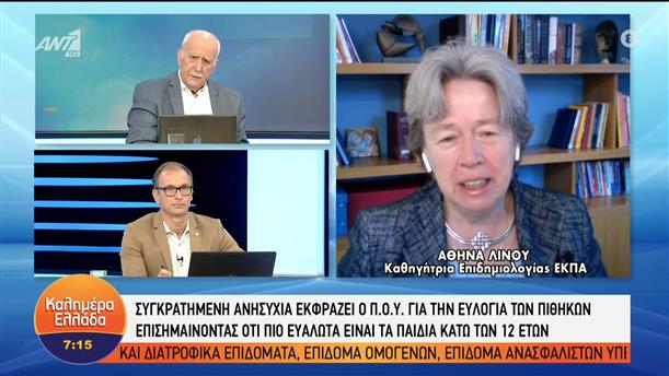 Η καθηγήτρια επιδημιολογίας, Αθηνά Λινού στο Καλημέρα Ελλάδα – Καλημέρα Ελλάδα – 24/05/2022