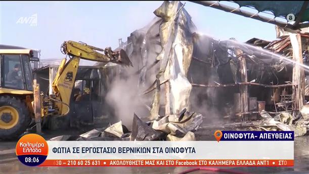Οινόφυτα: Φωτιά σε εργοστάσιο βερνικιών - Καλημέρα Ελλάδα - 04/07/2023
