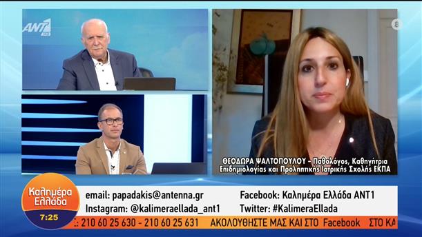 Θεοδώρα Ψαλτοπούλου - Καθηγήτρια Επιδημιολογίας & Προληπτικής Ιατρικής - Καλημέρα Ελλάδα - 05/07/2022
