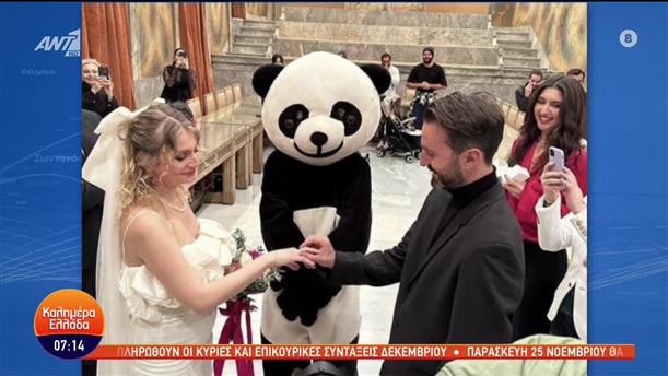 Κουμπάρος ντύθηκε... panda σε πολιτικό γάμο - Καλημέρα Ελλάδα - 11/11/2022
