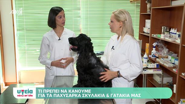 Υγεία και ζώα - Επεισόδιο 14 - 11ος ΚΥΚΛΟΣ