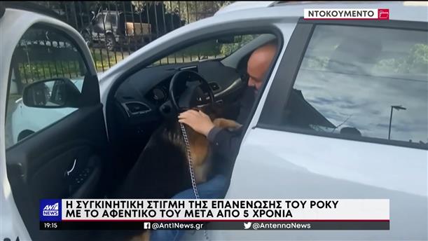 Θεσσαλονίκη: σκύλος ξαναβρίσκει τον ιδιοκτήτη του μετά από 5 χρόνια 
