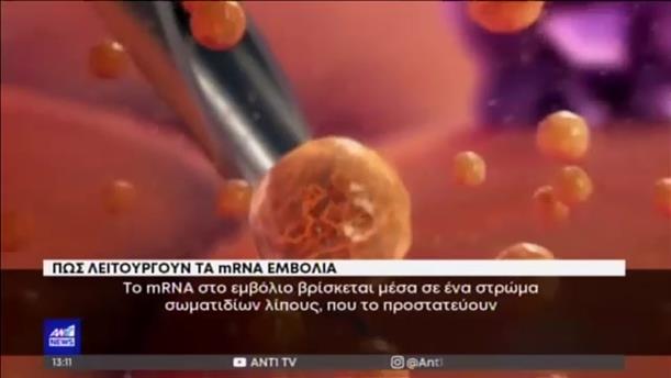 Εμβόλια m-RNA: πως λειτουργούν στο ανθρώπινο σώμα