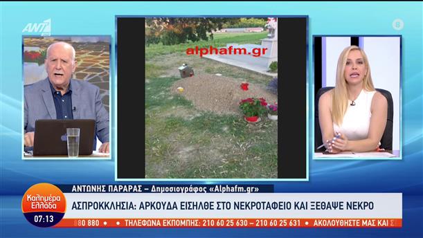 Καστοριά: Αρκούδα ξέθαψε νεκρό από νεκροταφείο - Καλημέρα Ελλάδα - 04/07/2023