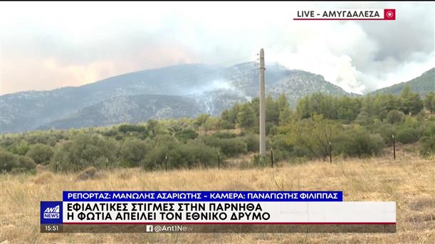 ANT1 NEWS ΕΚΤΑΚΤΟ ΔΕΛΤΙΟ 23-08-2023 (15:50)