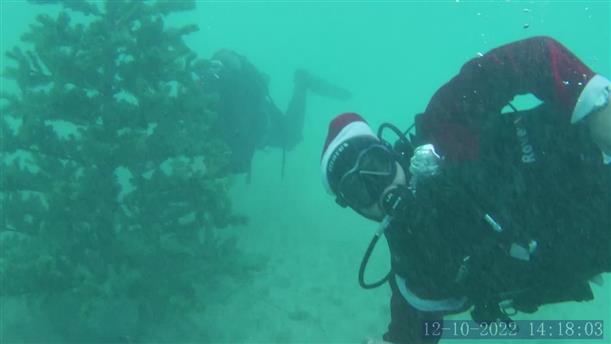 Αλόννησος: Υποβρύχιος στολισμός χριστουγεννιάτικου δέντρου