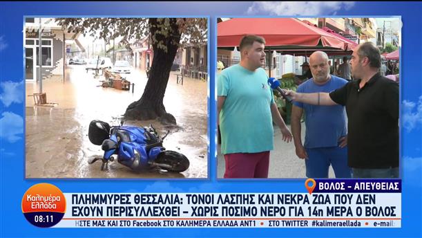 Πλημμύρες Θεσσαλία: Χωρίς πόσιμο νερό για 14η μέρα ο Βόλος - Καλημέρα Ελλάδα - 19/09/2023