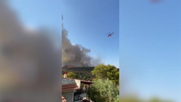 Βίντεο από την φωτιά στη Μάνδρα