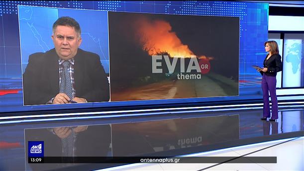 Εύβοια: Συναγερμός από φωτιά τα Ψαχνά