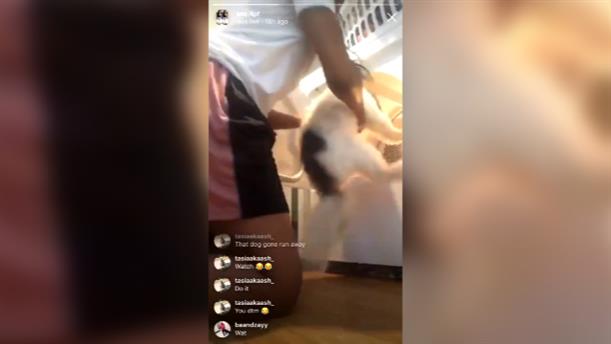 Έβαλε τον σκύλο της στο στεγνωτήριο και το μετέδωσε live στο Instagram