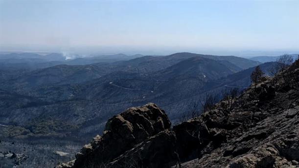 Έβρος: Το Εθνικό Πάρκο Δαδιάς μετά την καταστροφική πυρκαγιά