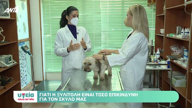 Υγεία και ζώα Επεισόδιο 58