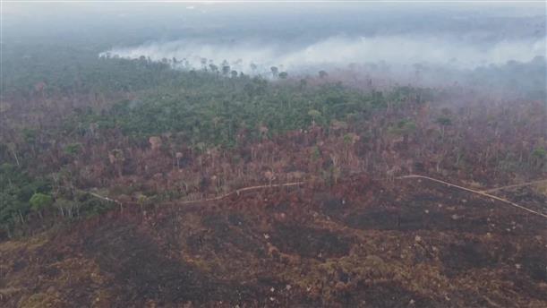 Αμαζόνιος: Σε επίπεδα ρεκόρ η αποψίλωση