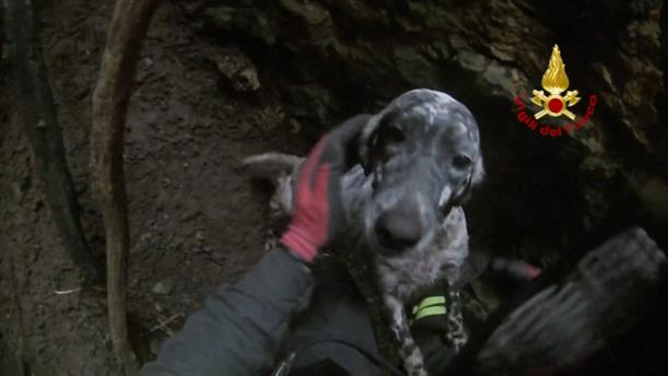 Διάσωση σκύλου που έπεσε σε γκρεμό στην Ιταλία