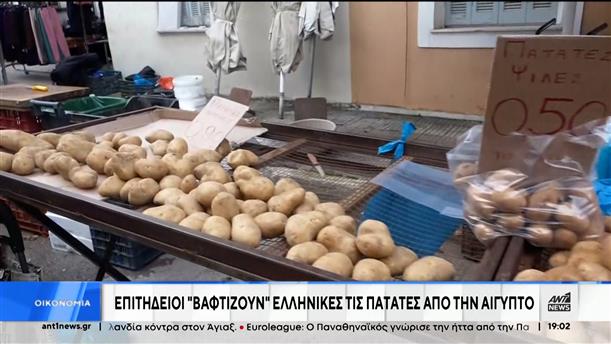 Πατάτες Αιγύπτου «βαφτίζονται» ελληνικές και πουλιούνται πιο ακριβά
