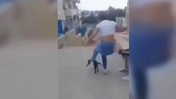 Μαθήτρια κακοποιεί γάτα στο Ρέθυμνο