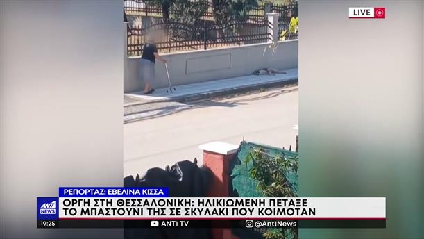 Θεσσαλονίκη: Ηλικιωμένη χτύπησε σκύλο με το μπαστούνι της