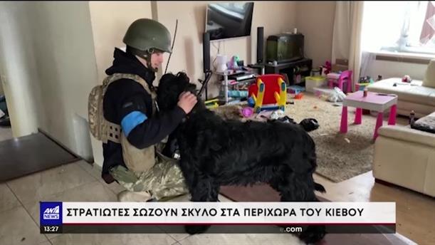Πόλεμος στην Ουκρανία: στρατιώτες «υιοθέτησαν» εγκαταλελειμμένη σκυλίτσα