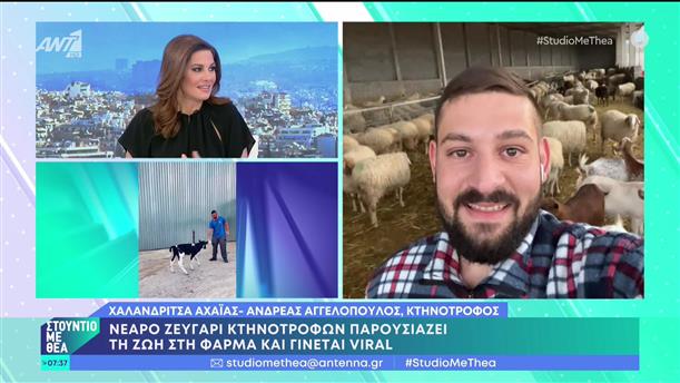 Ζευγάρι κτηνοτρόφων δείχνει τη ζωή στη φάρμα και γίνεται viral - Στούντιο με Θέα - 19/02/2023