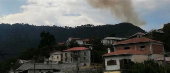 Κόνιτσα: Φωτιά στον Αμάραντο κοντά σε ναρκοπέδια (εικόνες)