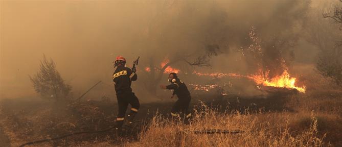 Meteo: Οι 10 ακραίες δασικές πυρκαγιές στην Ελλάδα
