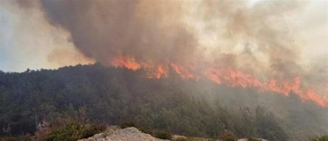 Ιωάννινα: Φωτιά σε δασική περιοχή - Στη “μάχη” και εναέρια μέσα