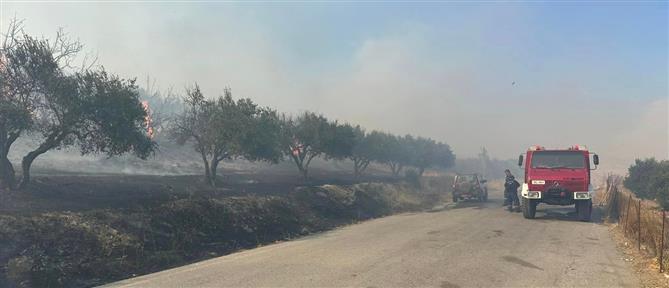 Ηράκλειο: Φωτιά σε αγροτοδασική έκταση - Ήχησε το 112 (εικόνες)
