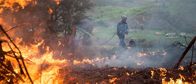 Φωτιές στην Ισπανία: Δεκάδες τα μέτωπα και η οικολογική καταστροφή (εικόνες)