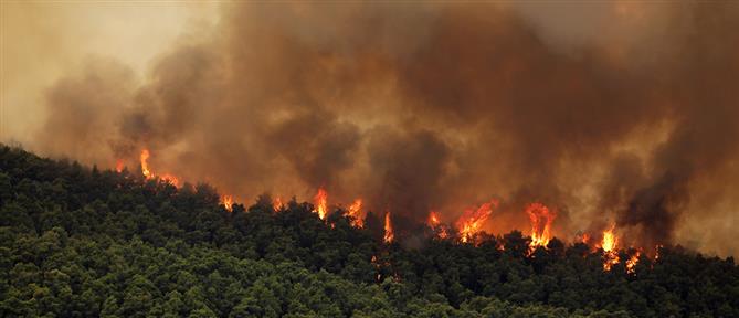 Φωτιές - Πυροσβεστική: Περιπολίες και απαγόρευση εισόδου σε εθνικούς δρυμούς και δάση