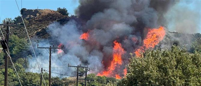 Φωτιά στην Ξάνθη: Στη “μάχη” και εναέρια μέσα - Ήχησε το 112