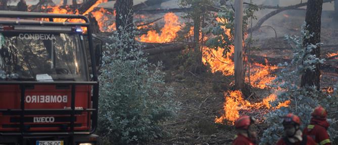Πυρκαγιά στην Πορτογαλία: Αναζωπύρωση στον εθνικό δρυμό