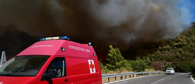 Φωτιά στην Ηλεία – Συνδράμουν εναέρια μέσα