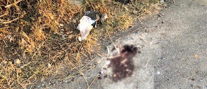Χανιά: Νεκρή τουρίστρια που παρασύρθηκε από αυτοκίνητο (εικόνες)